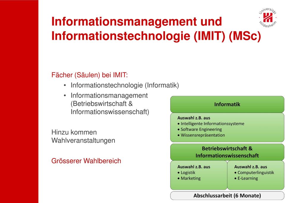 (Informatik) Informationsmanagement (Betriebswirtschaft &