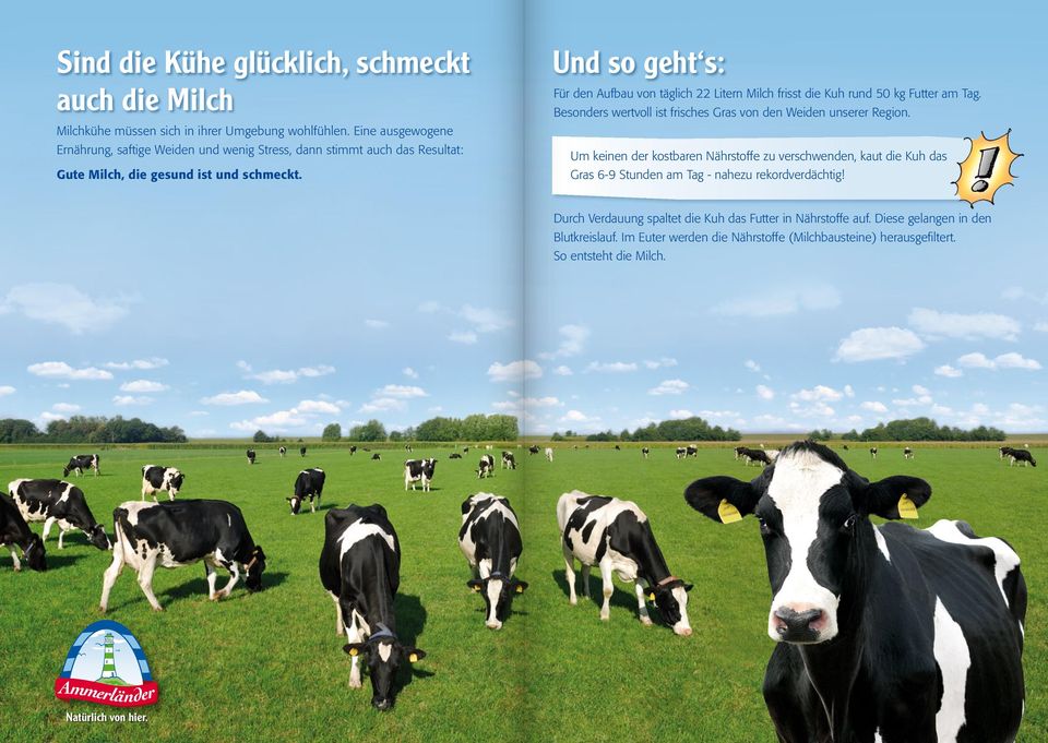 Und so geht s: Für den Aufbau von täglich 22 Litern Milch frisst die Kuh rund 50 kg Futter am Tag. Besonders wertvoll ist frisches Gras von den Weiden unserer Region.