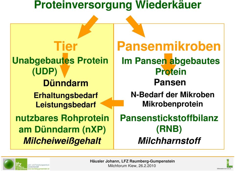 Milcheiweißgehalt Pansenmikroben Im Pansen abgebautes Protein Pansen