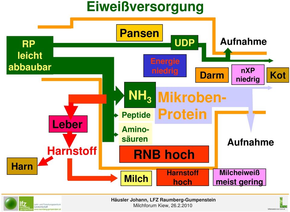 Harnstoff NH 3 Peptide Aminosäuren Mikroben- Protein