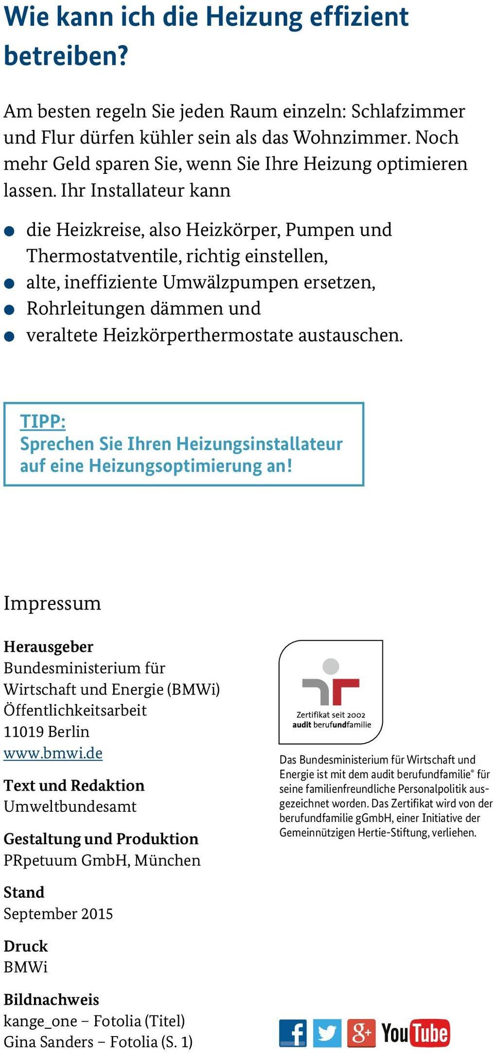 Ihr Installateur kann die Heizkreise, also Heizkörper, Pumpen und Thermostatventile, richtig einstellen, alte, ineffiziente Umwälzpumpen ersetzen, Rohrleitungen dämmen und veraltete