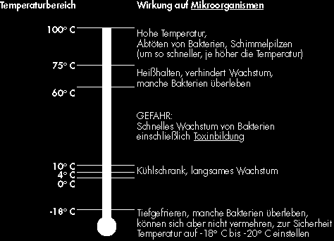 Regel 5: KÜHLEN Verderbliche Lebensmittel und Speisen sofort ausreichend kühlen oder einfrieren. Mangelnde Kühlung steht an der Spitze der Ursachen von lebensmittelbedingten Erkrankungen.