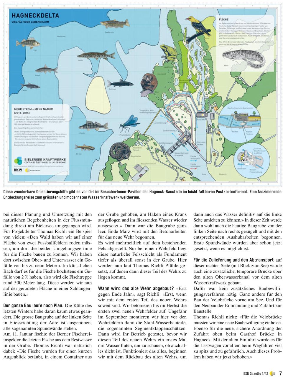 bei dieser Planung und Umsetzung mit den natürlichen Begebenheiten in der Flussmündung direkt am Bielersee umgegangen wird.
