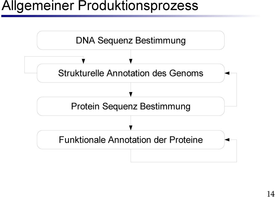 Annotation des Genoms Protein Sequenz