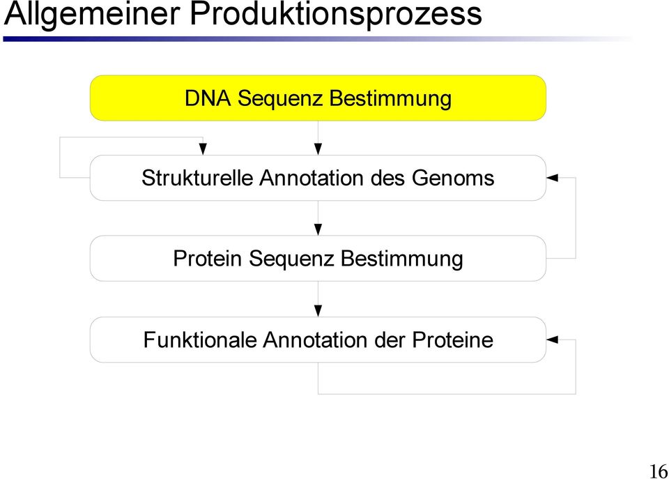 Annotation des Genoms Protein Sequenz