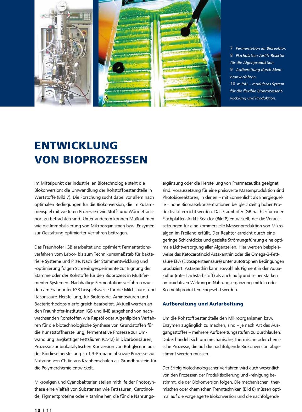 Entwicklung von Bioprozessen Im Mittelpunkt der industriellen Biotechnologie steht die Biokonversion: die Umwandlung der Rohstoffbestandteile in Wertstoffe (Bild 7).