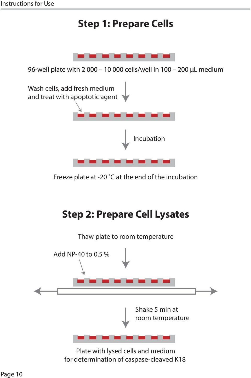 Prepare Cell Lysates Thaw plate to room temperature Add NP-40 to 0.