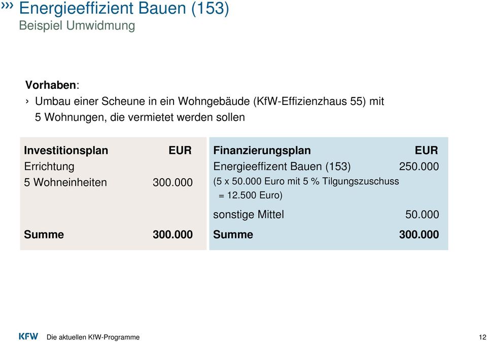Errichtung 5 Wohneinheiten 300.000 Finanzierungsplan EUR Energieeffizent Bauen (153) 250.