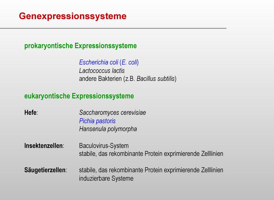 Bacillus subtilis) eukaryontische Expressionssysteme Hefe: Saccharomyces cerevisiae Pichia pastoris
