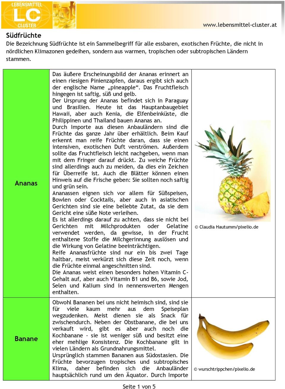 Das Fruchtfleisch hingegen ist saftig, süß und gelb. Der Ursprung der Ananas befindet sich in Paraguay und Brasilien.