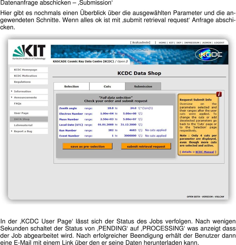 In der KCDC User Page lässt sich der Status des Jobs verfolgen.