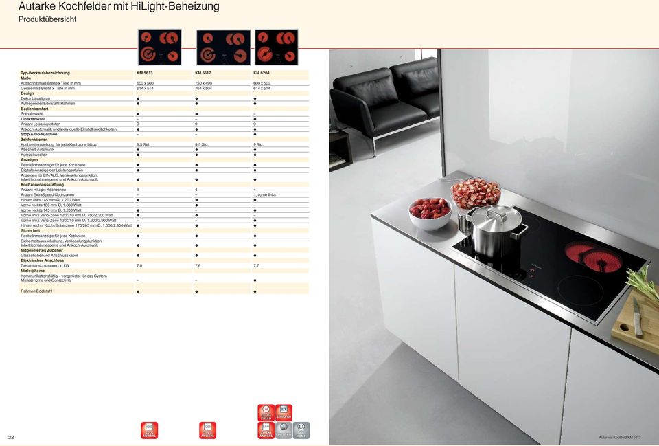Einstellmöglichkeiten Stop & Go-Funktion Zeitfunktionen Kochzeiteinstellung für jede Kochzone bis zu 9,5 Std. 9,5 Std. 9 Std.