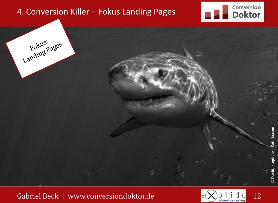 Conversion Killer Fokus