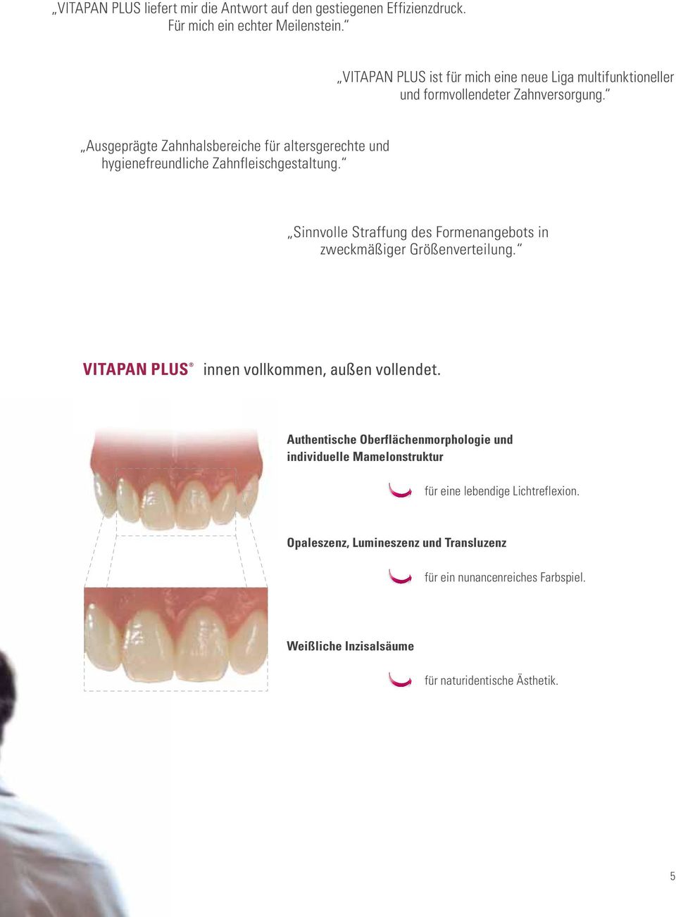 Ausgeprägte Zahnhalsbereiche für altersgerechte und hygienefreundliche Zahnfleischgestaltung.