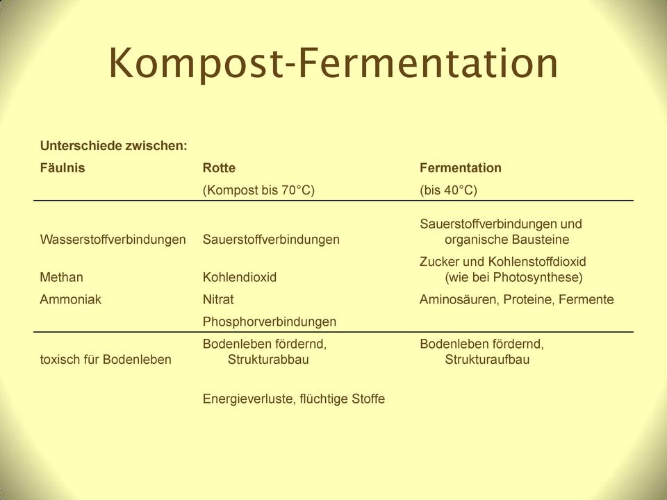 Kohlenstoffdioxid (wie bei Photosynthese) Ammoniak Nitrat Aminosäuren, Proteine, Fermente toxisch für Bodenleben