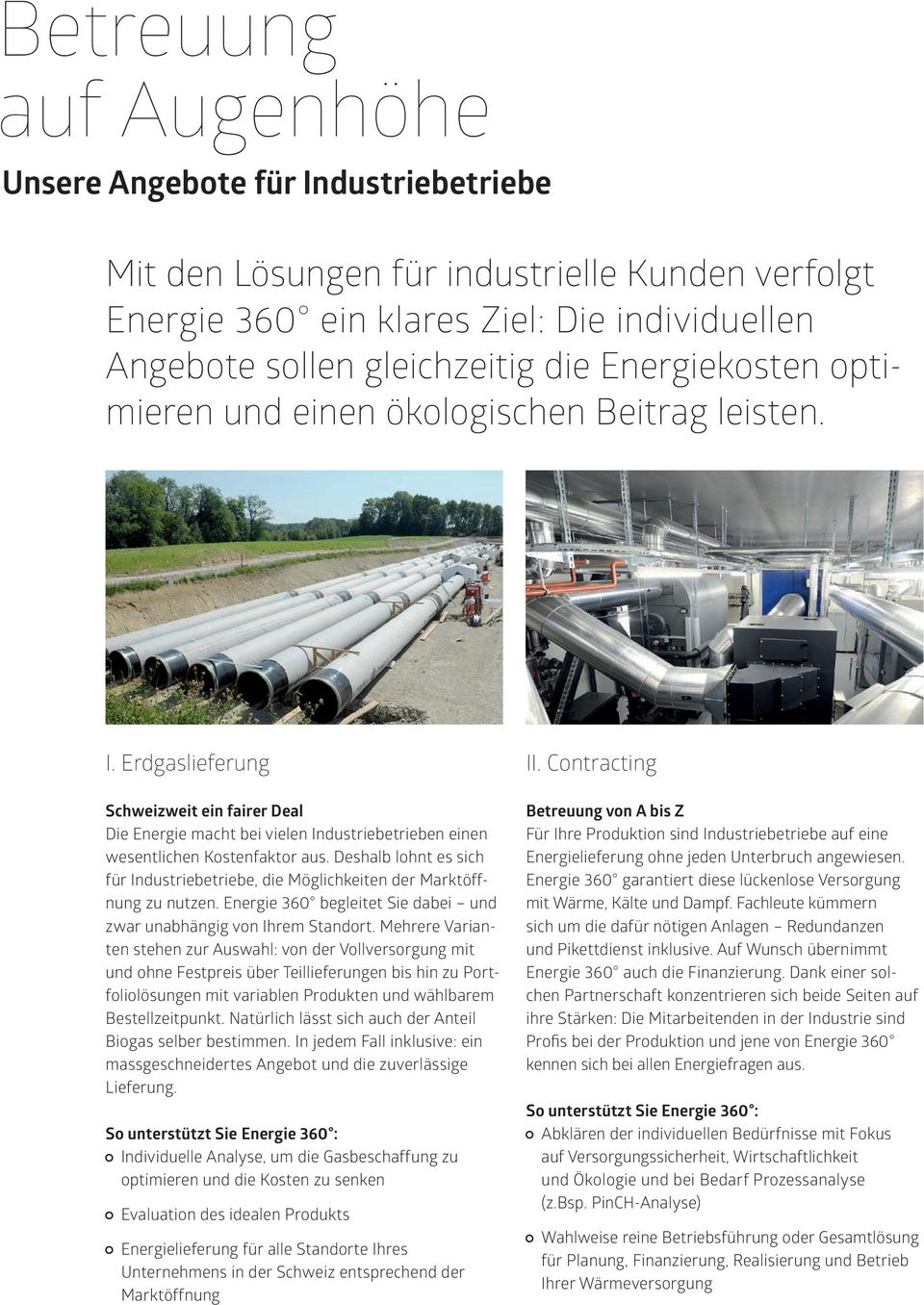 Deshalb lohnt es sich für Industriebetriebe, die Möglichkeiten der Marktöffnung zu nutzen. Energie 360 begleitet Sie dabei und zwar unabhängig von Ihrem Standort.