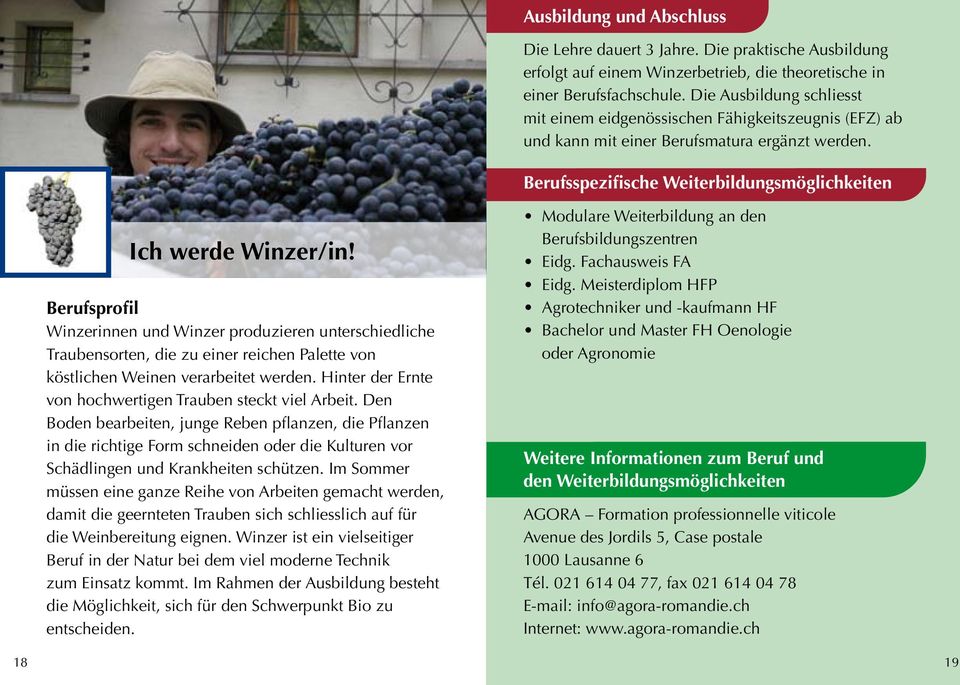 Winzerinnen und Winzer produzieren unterschiedliche Traubensorten, die zu einer reichen Palette von köstlichen Weinen verarbeitet werden. Hinter der Ernte von hochwertigen Trauben steckt viel Arbeit.