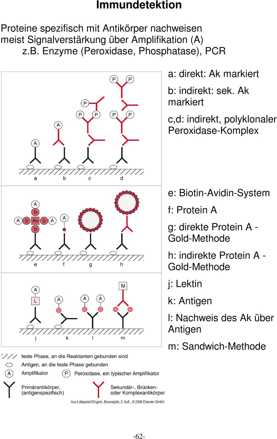 Ak markiert c,d: indirekt, polyklonaler Peroxidase-Komplex e: Biotin-Avidin-System f: Protein A g: direkte