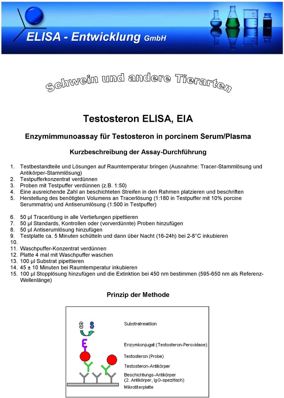 Eine ausreichende Zahl an beschichteten Streifen in den Rahmen platzieren und beschriften 5.