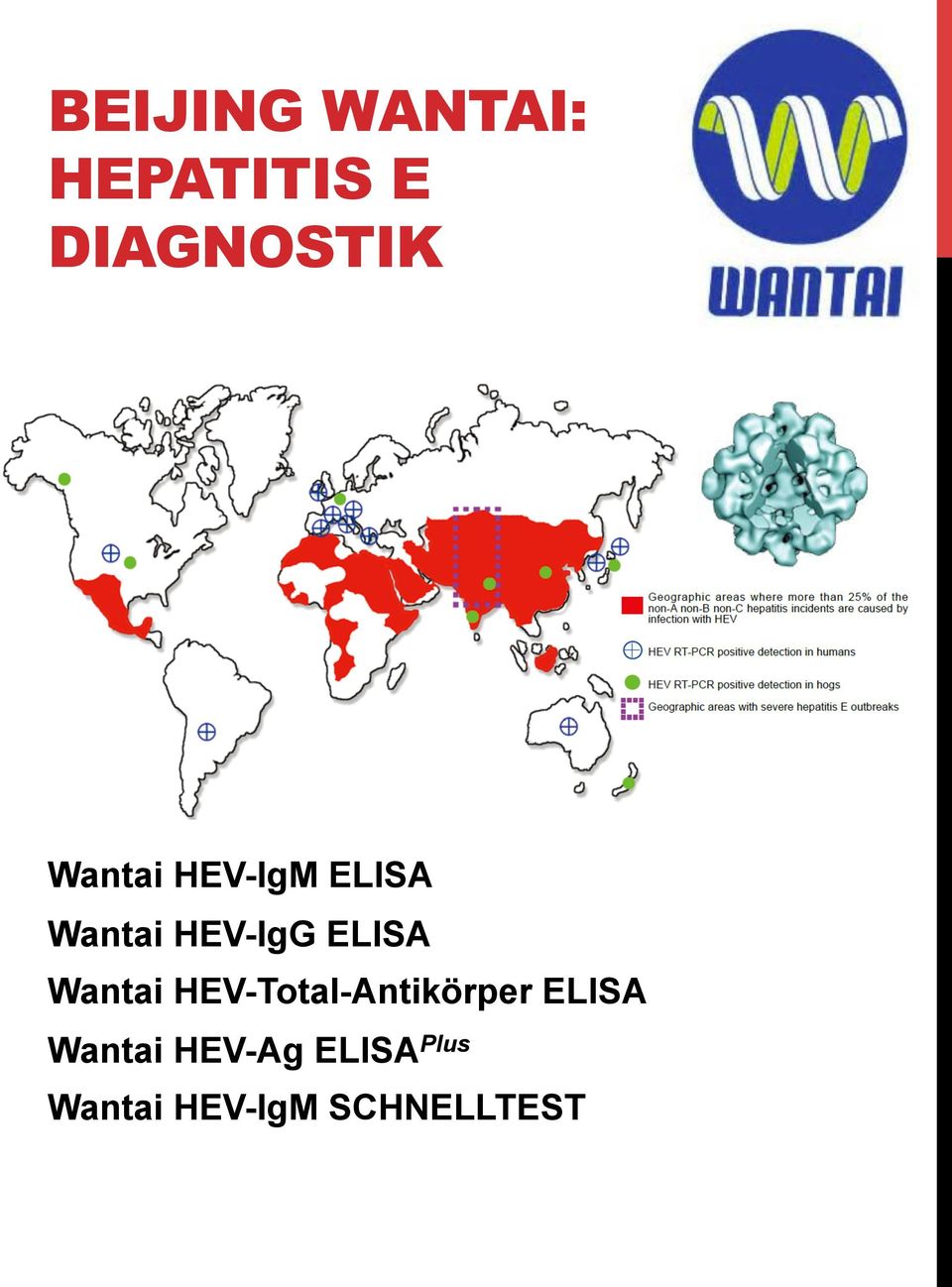 Wantai HEV-Total-Antikörper ELISA Wantai