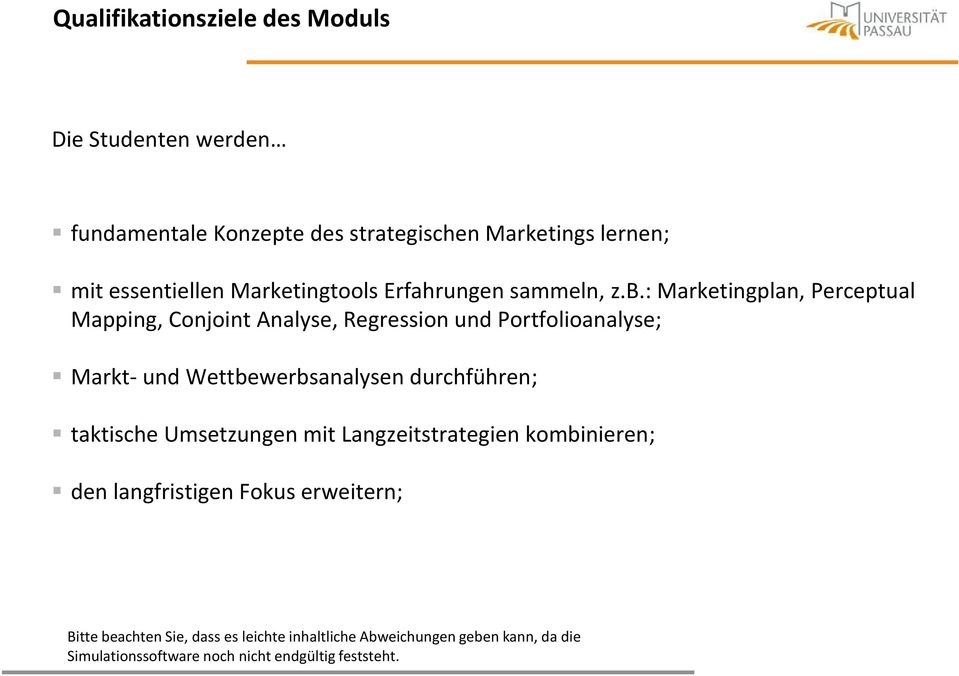 : Marketingplan, Perceptual Mapping, Conjoint Analyse, Regression und Portfolioanalyse; Markt- und Wettbewerbsanalysen