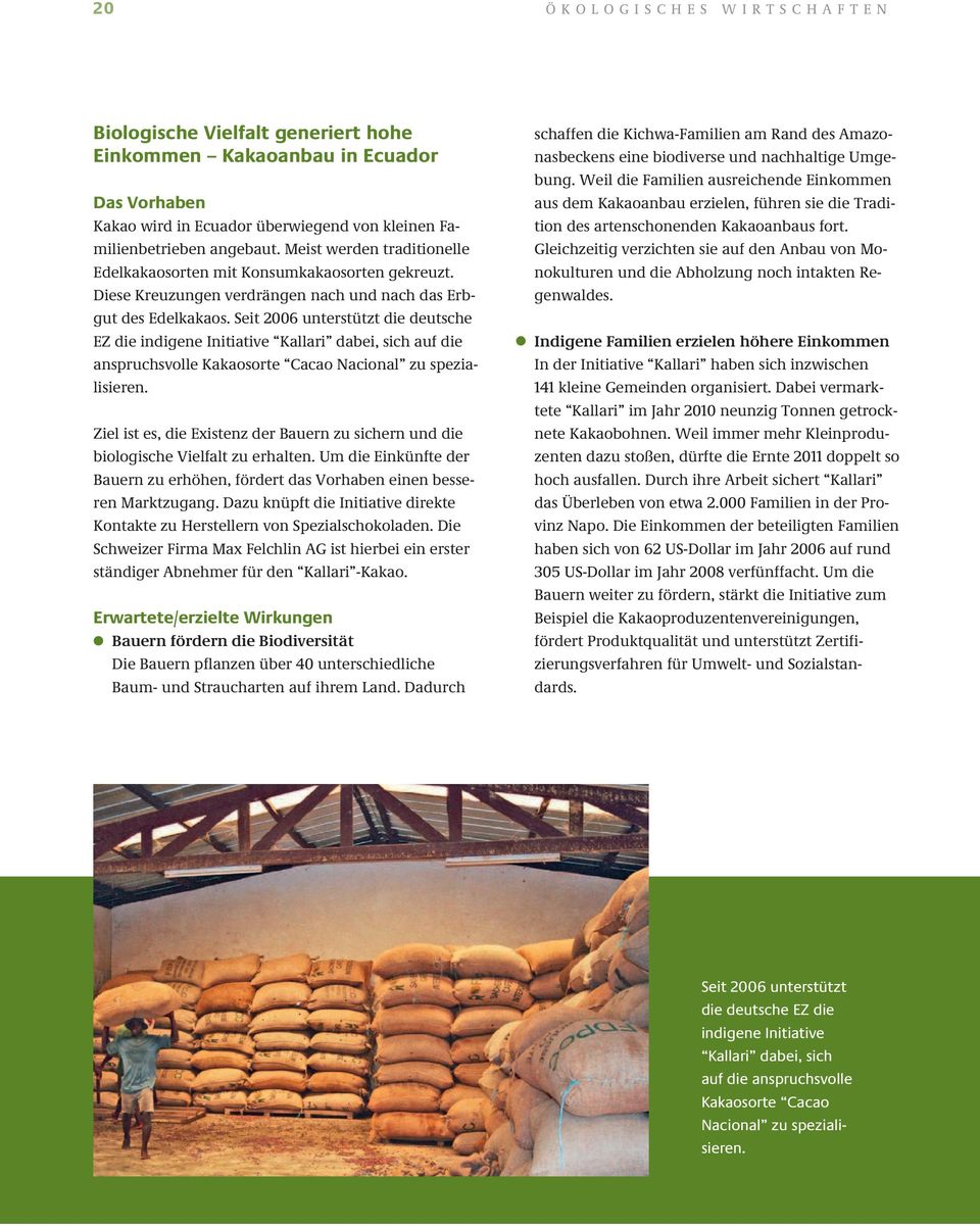 seit 2006 unterstützt die deutsche EZ die indigene initiative kallari dabei, sich auf die anspruchsvolle kakaosorte cacao nacional zu spezialisieren.