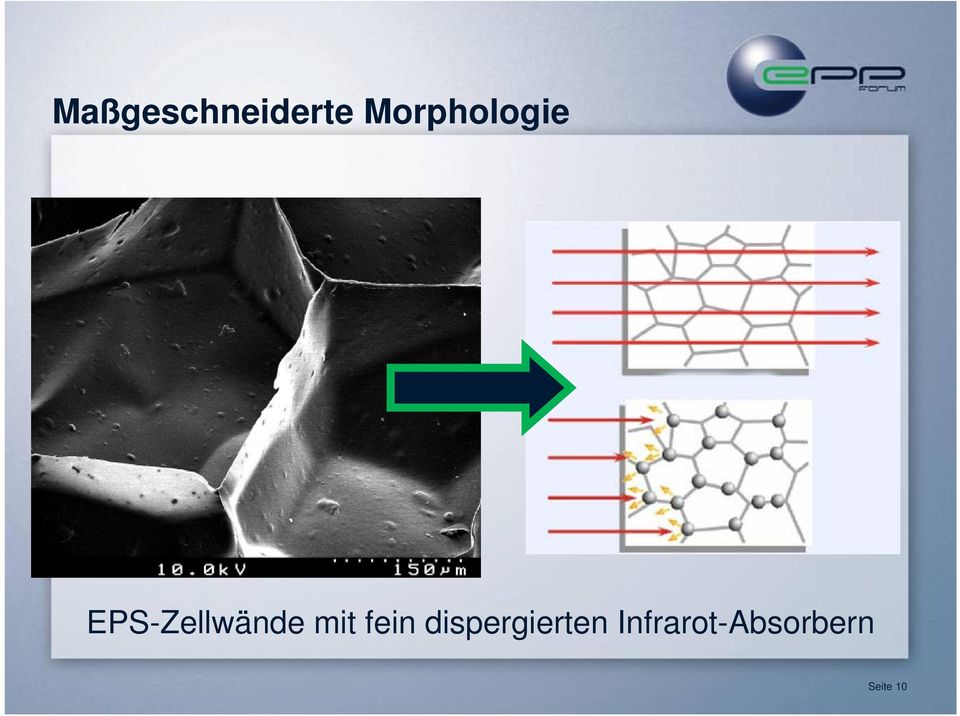 EPS-Zellwände mit fein