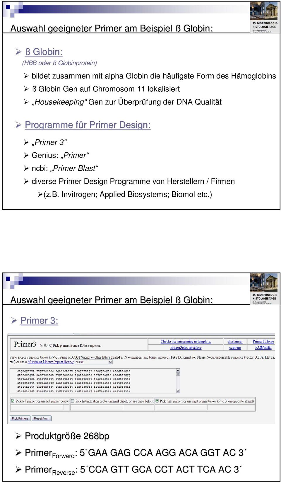 Blast diverse Primer Design Programme von Herstellern / Firmen (z.b. Invitrogen; Applied Biosystems; Biomol etc.