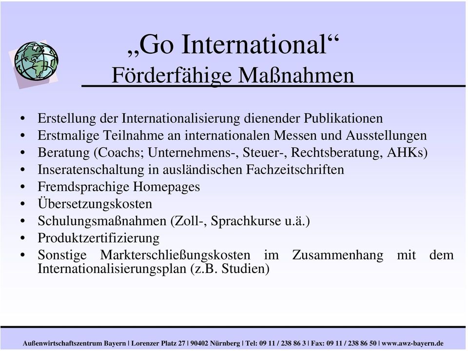 Inseratenschaltung in ausländischen Fachzeitschriften Fremdsprachige Homepages Übersetzungskosten Schulungsmaßnahmen