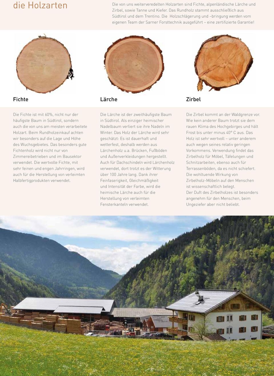 Fichte Lärche Zirbel Die Fichte ist mit 60%, nicht nur der häufigste Baum in Südtirol, sondern auch die von uns am meisten verarbeitete Holzart.