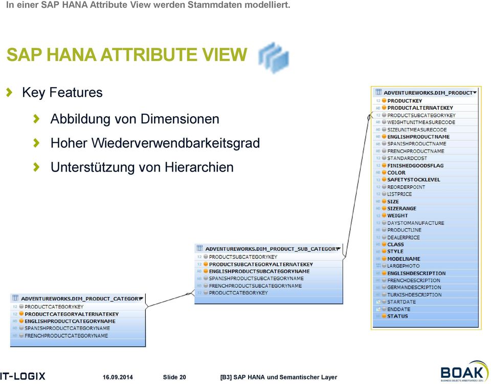 SAP HANA ATTRIBUTE VIEW Key Features Abbildung von