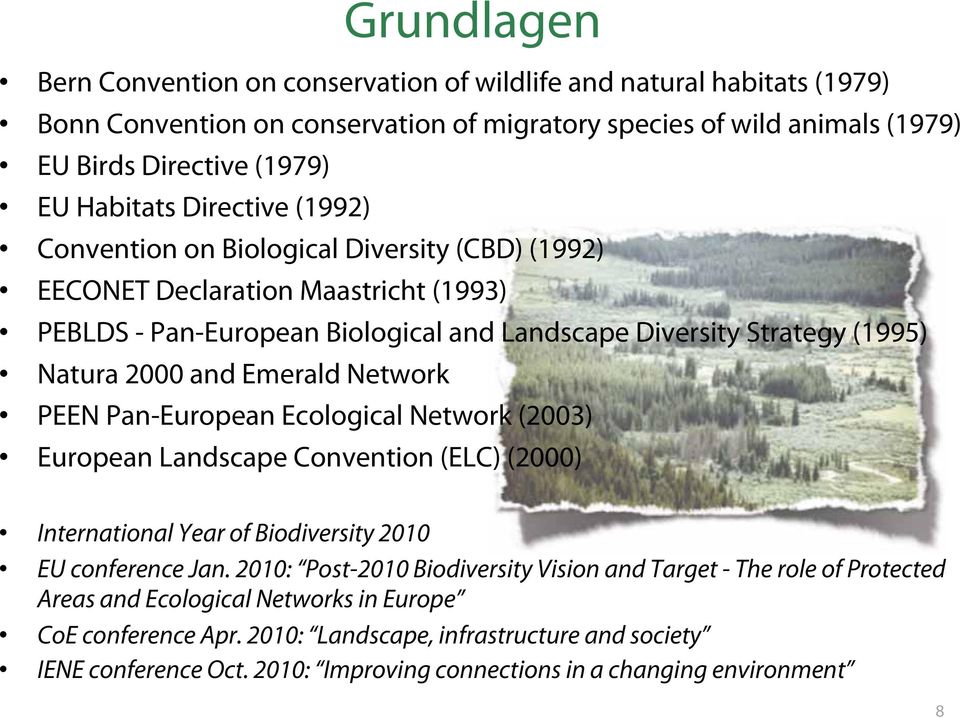 Network PEEN Pan-European Ecological Network (2003) European Landscape Convention (ELC) (2000) International Year of Biodiversity 2010 EU conference Jan.
