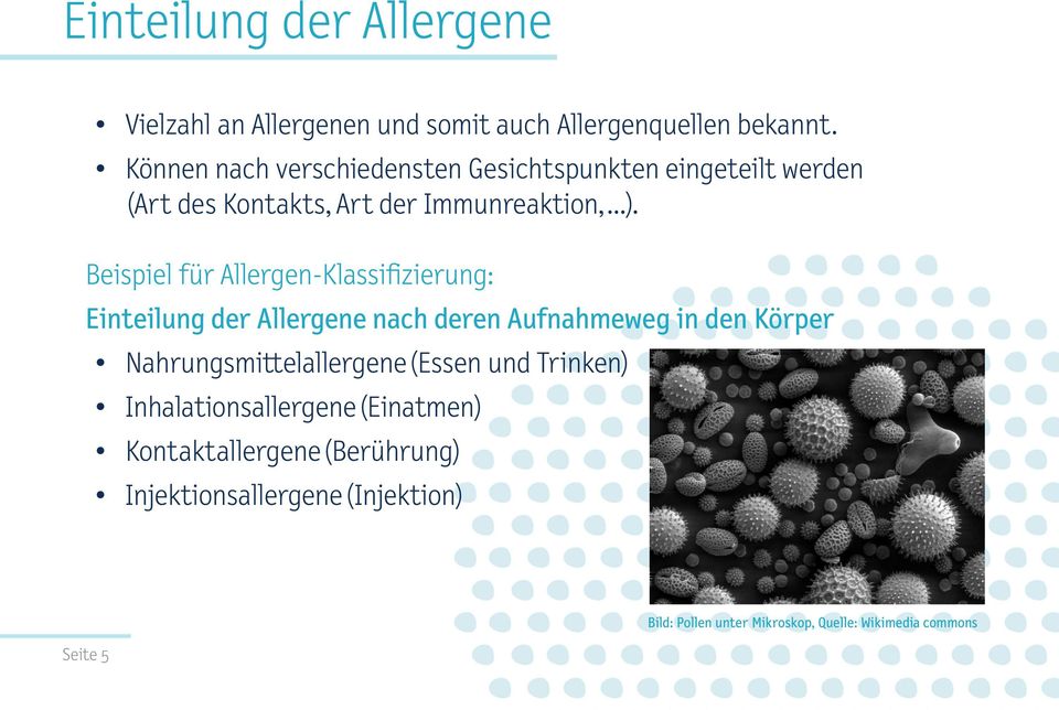 Beispiel für Allergen-Klassifizierung: Einteilung der Allergene nach deren Aufnahmeweg in den Körper