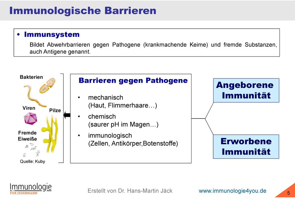 Bakterien Viren Fremde Eiweiße Pilze Barrieren gegen Pathogene mechanisch (Haut, Flimmerhaare