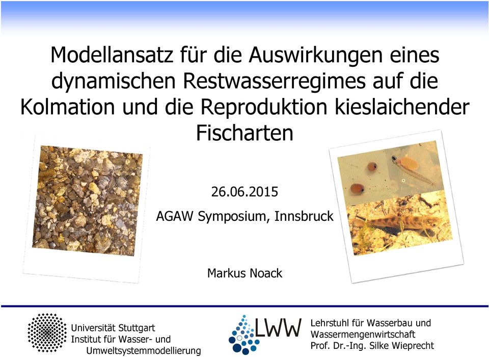2015 AGAW Symposium, Innsbruck Markus Noack Universität Stuttgart Institut für