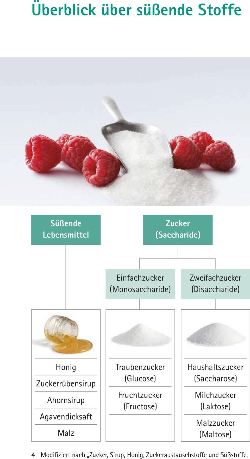 Malz Traubenzucker (Glucose) Fruchtzucker (Fructose) Haushaltszucker (Saccharose) Milchzucker