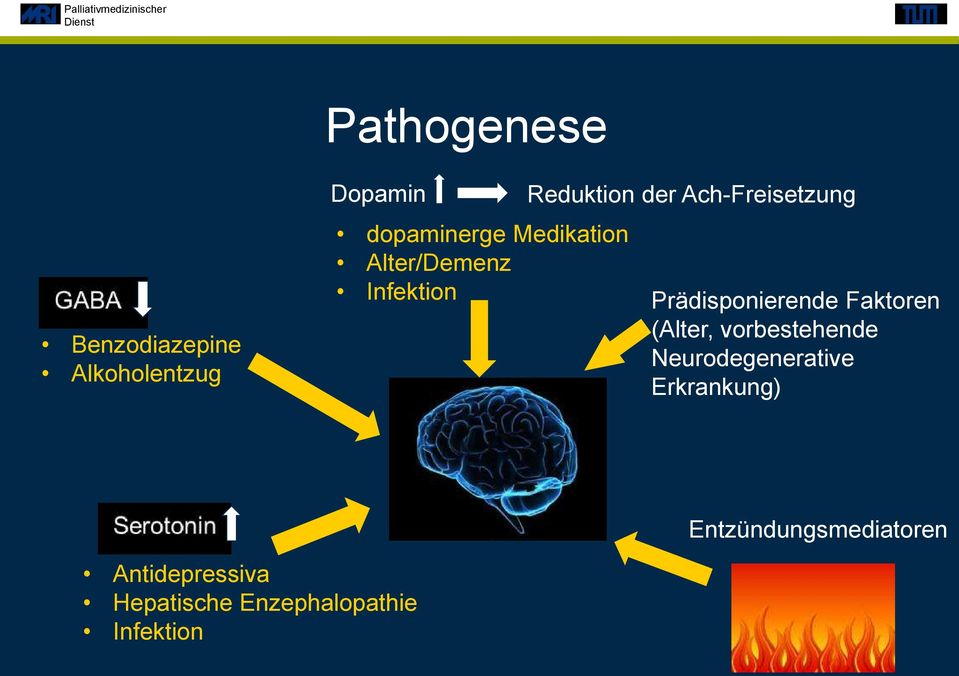 Prädisponierende Faktoren (Alter, vorbestehende Neurodegenerative