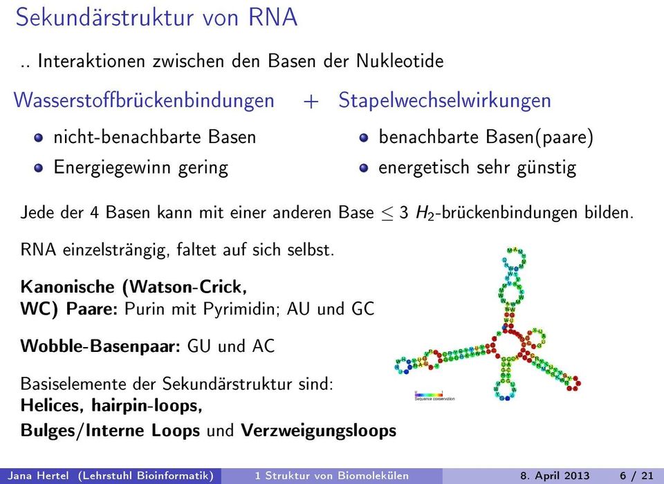 Basen(paare) energetisch sehr günstig Jede der 4 Basen kann mit einer anderen Base 3 H 2 -brückenbindungen bilden. RNA einzelsträngig, faltet auf sich selbst.