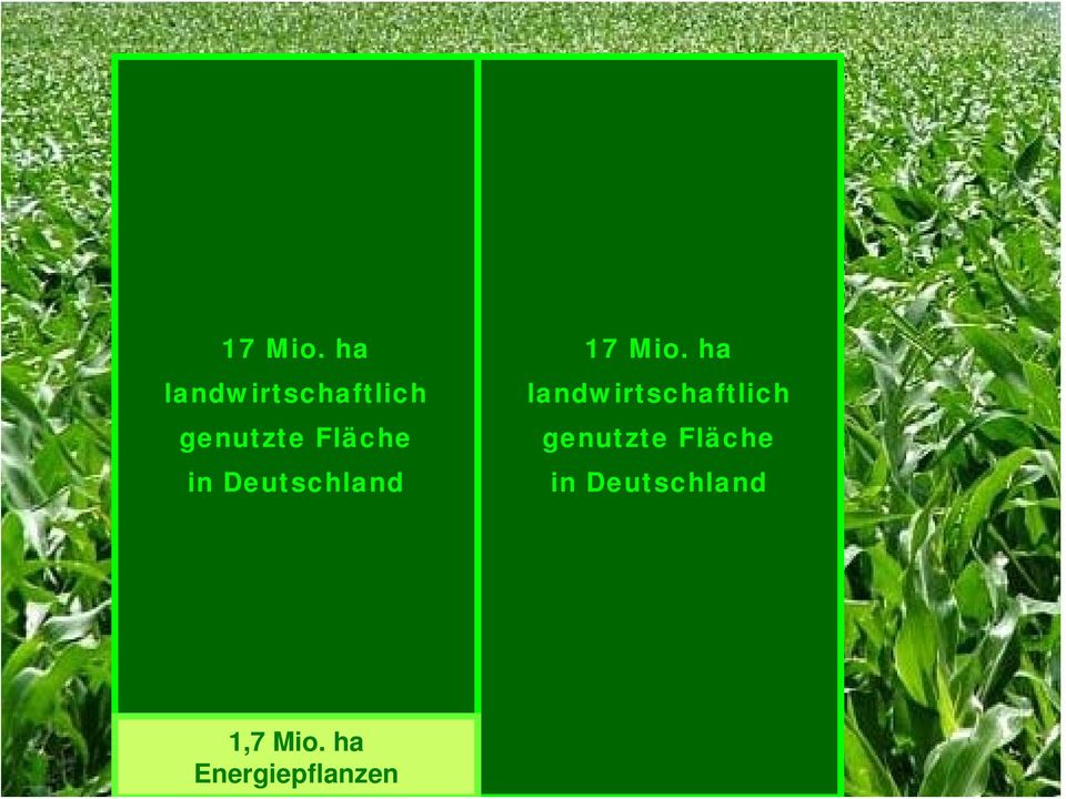 ha landwirtschaftlich genutzte Fläche in Deutschland 17 Mio.