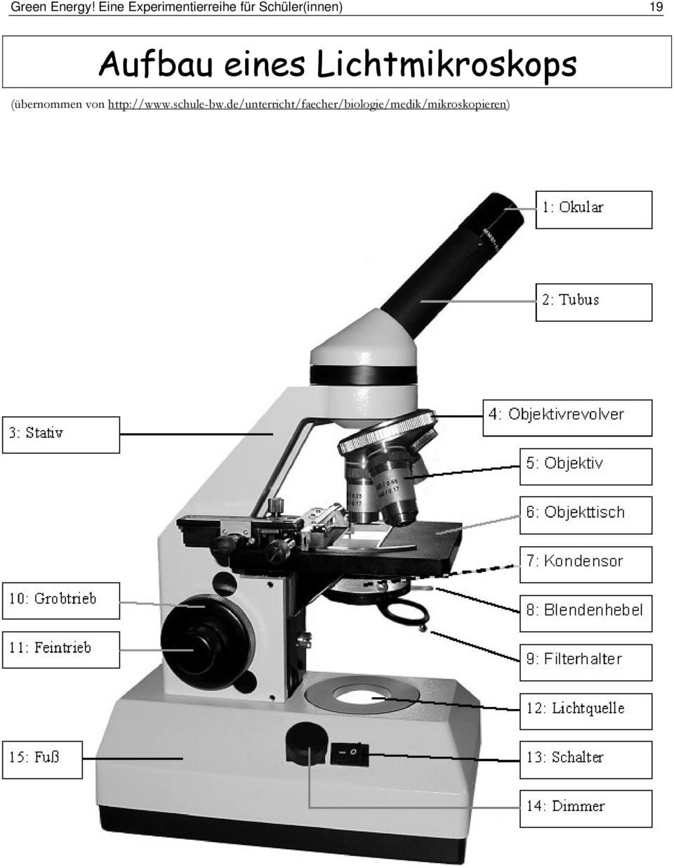 19 Aufbau eines Lichtmikroskops (übernommen
