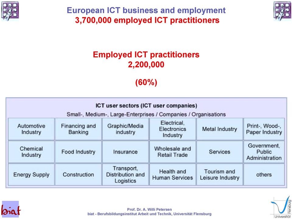 employed ICT practitioners
