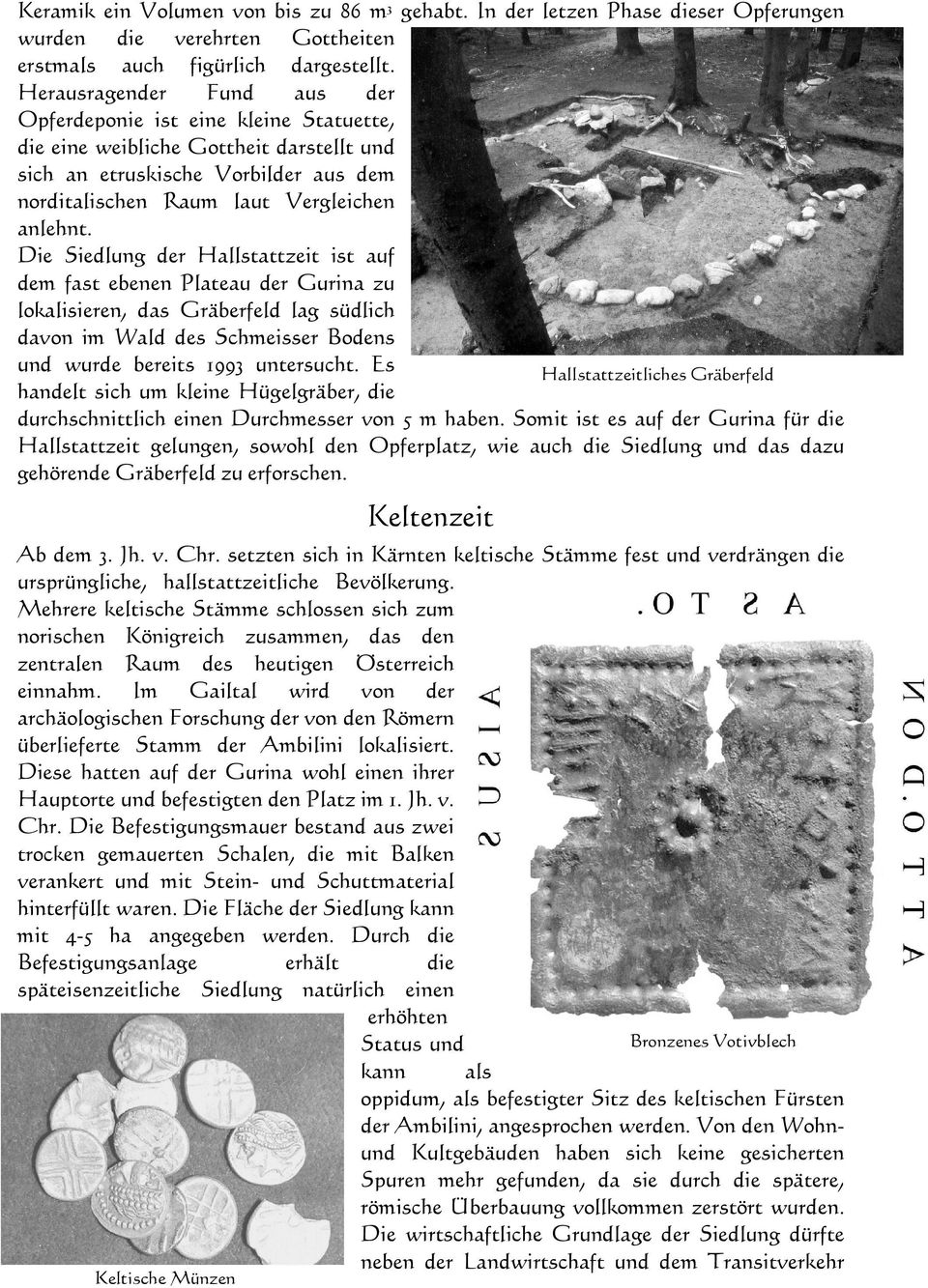 Die Siedlung der Hallstattzeit ist auf dem fast ebenen Plateau der Gurina zu lokalisieren, das Gräberfeld lag südlich davon im Wald des Schmeisser Bodens und wurde bereits 1993 untersucht.