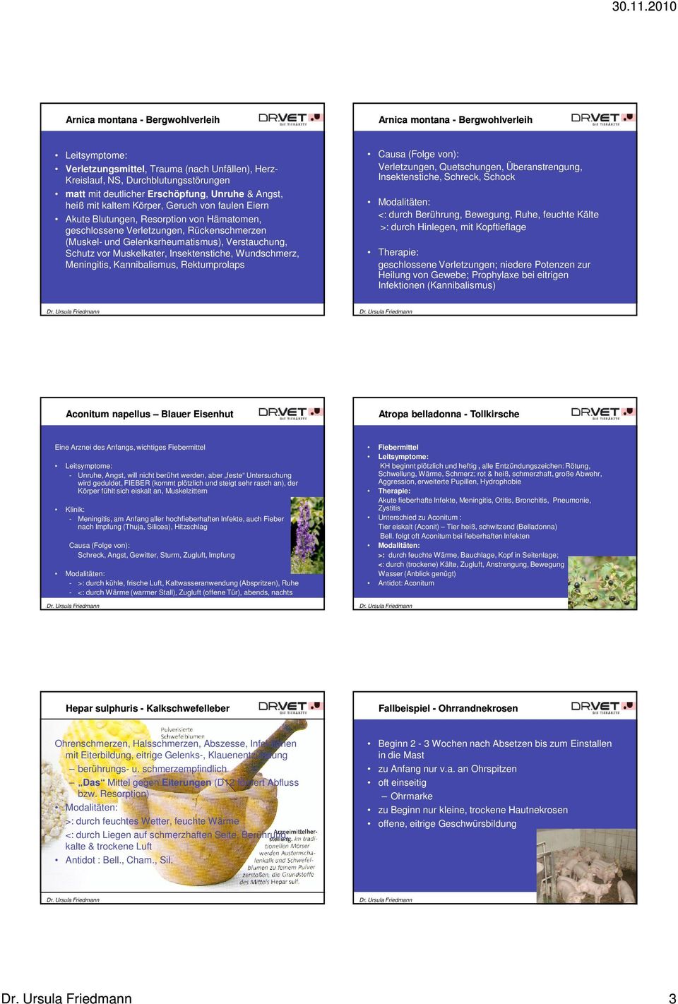 Schutz vor Muskelkater, Insektenstiche, Wundschmerz, Meningitis, Kannibalismus, Rektumprolaps Causa (Folge von): Verletzungen, Quetschungen, Überanstrengung, Insektenstiche, Schreck, Schock <: durch