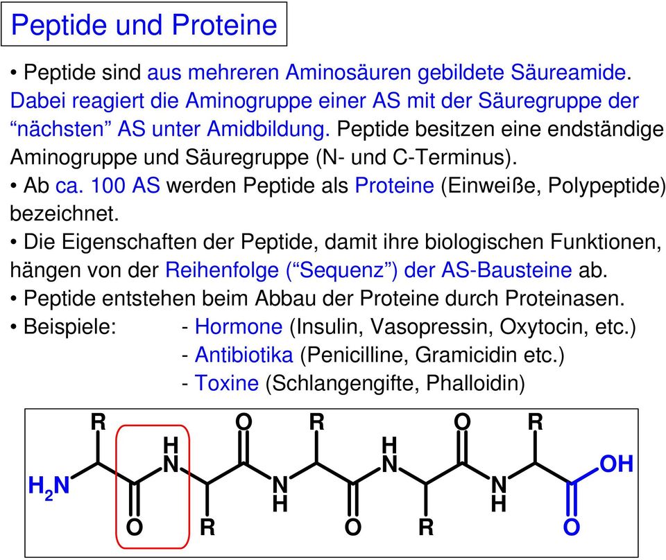 Peptide besitzen eine endständige Aminogruppe und Säuregruppe (- und -Terminus). Abca. 100 AS werden Peptide als Proteine (Einweiße, Polypeptide) bezeichnet.