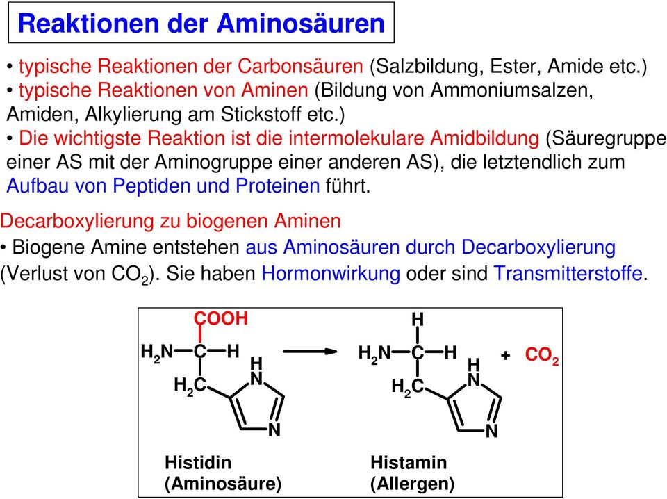 ) Die wichtigste Reaktion ist die intermolekulare Amidbildung (Säuregruppe einer AS mit der Aminogruppe einer anderen AS), die letztendlich zum