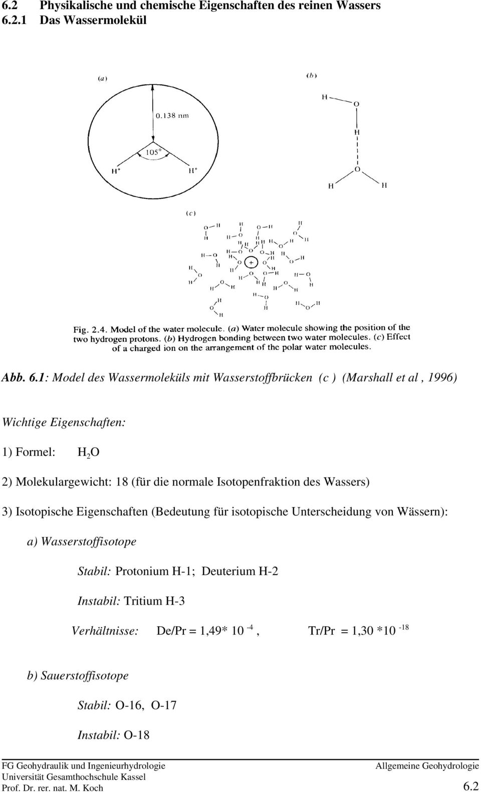 1: Model des Wassermoleküls mit Wasserstoffbrücken (c ) (Marshall et al, 1996) Wichtige Eigenschaften: 1) Formel: H O 2 2) Molekulargewicht: 18 (für