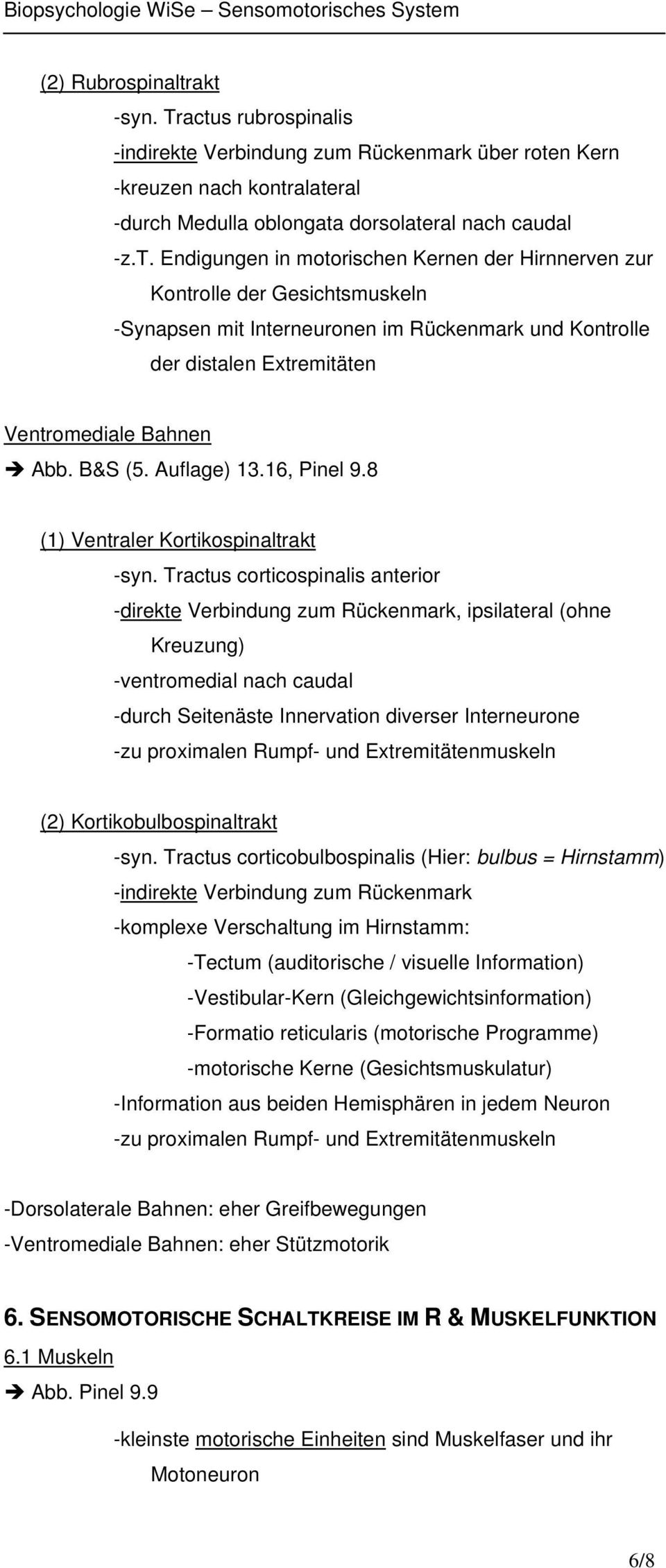 B&S (5. Auflage) 13.16, Pinel 9.8 (1) Ventraler Kortikospinaltrakt -syn.