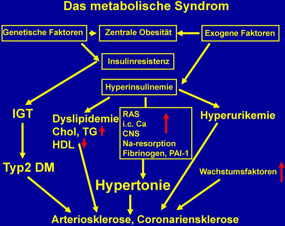 Dyslipidemie Chol, TG HDL RAS i.c.