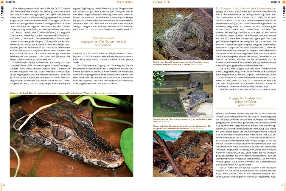 Unsere Arbeitsgemeinschaft führt unter anderem ein eigenes Zuchtbuch für den China- Alligator (Alligator sinensis), in dem über 30 Tiere registriert sind.
