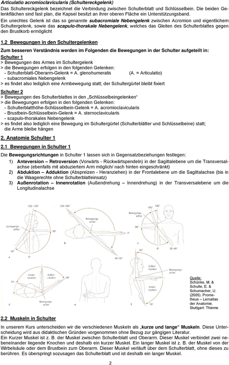 Ein unechtes Gelenk ist das so genannte subacromiale Nebengelenk zwischen Acromion und eigentlichem Schultergelenk, sowie das scapulo-thorakale Nebengelenk, welches das Gleiten des Schulterblattes